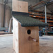 nbx / app - bird box {3 of 3}