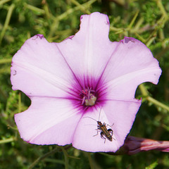 MacroMonda 443. - 08.12.2025 - 2 im Vergleich MacroMonda 443. - 08.12.2025 - 2 im Vergleich