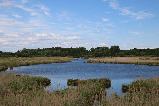 Naturschutzgebiet Wagbach