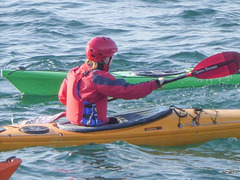 Sea kayaking in the Moray Firth