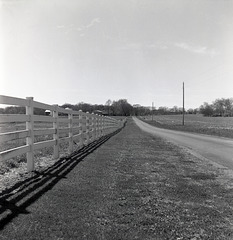 Vanishing Point