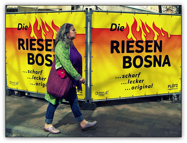 RIESEN BOSNA (◕‿-)