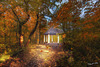 Pavillon im Wald