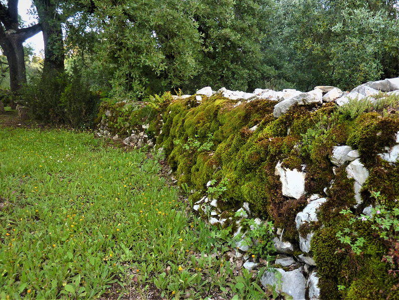 Stone wall