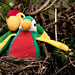 Parrots On Holiday