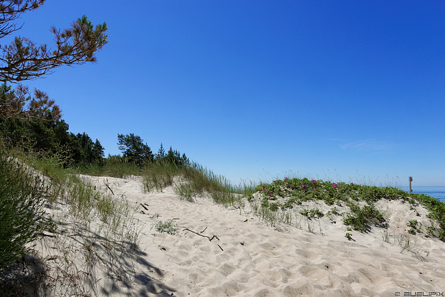 am Baltischen Meer bei Palanga (© Buelipix)