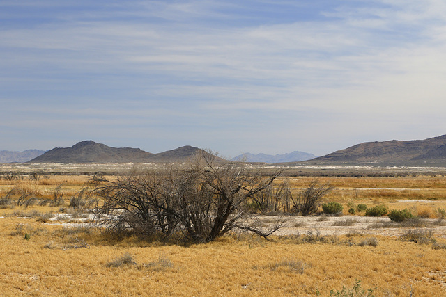 Ash Meadows National Wildlife Refuge