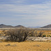 Ash Meadows National Wildlife Refuge