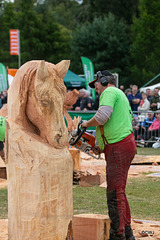 The Carrbridge World Chainsaw Carving Championship 2018