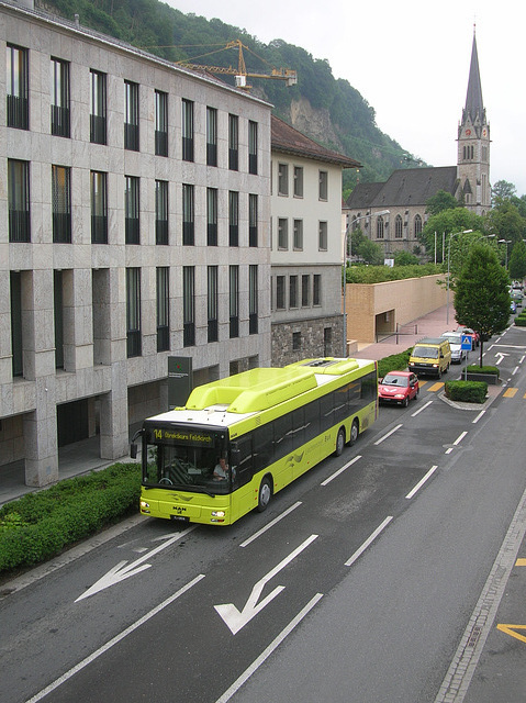 DSCN1892 Liechtenstein Bus Anstalt 36 (FL 28536) (operated by Ivo Matt A.G.)