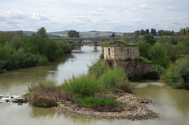 Rio Guadalquivir at Córdoba