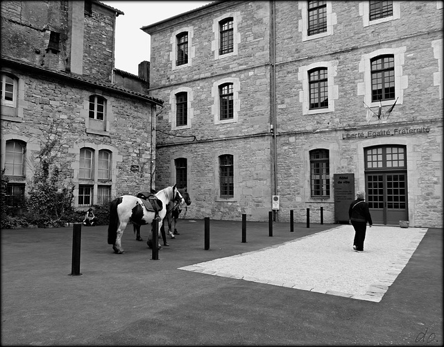 voter, à pied ou à cheval