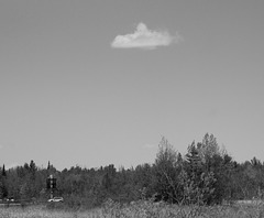 UFO  B&W friday