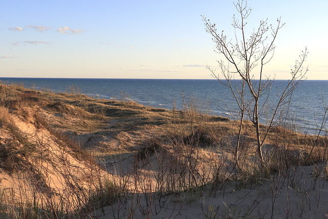 Dunes at Little Sable