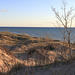 Dunes at Little Sable