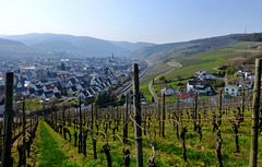 Blick aus den Weinbergen auf Ahrweiler