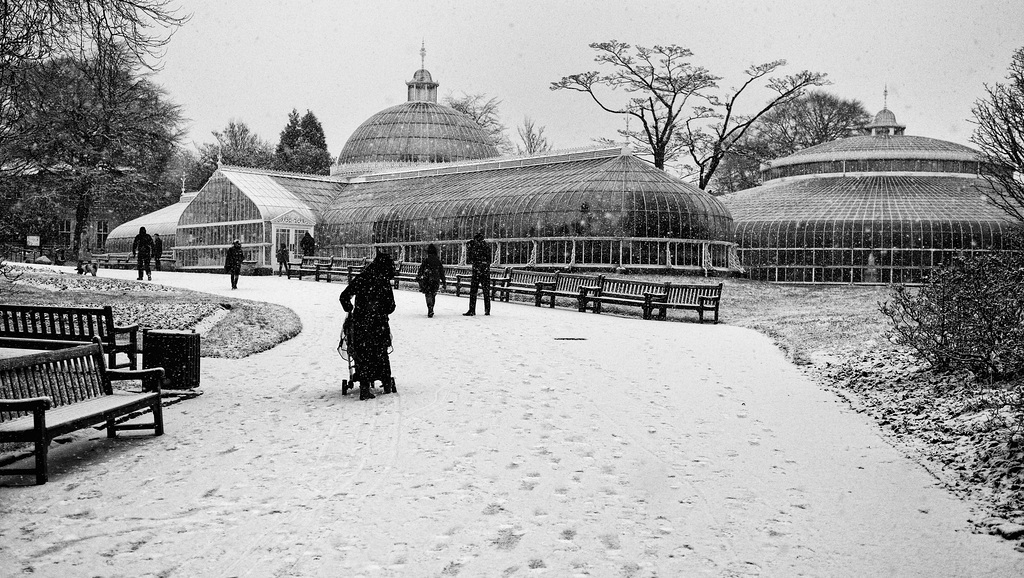 Botanic Gardens in the Snow