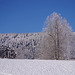 BÖ0036505