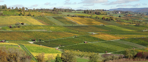 Hallauerberg