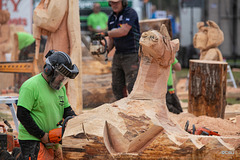 The Carrbridge World Chainsaw Carving Championship 2018