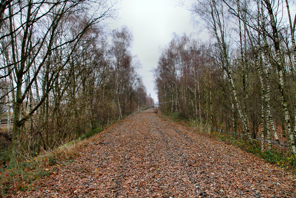 Auf der ehemaligen Zechenbahntrasse (Marl-Hamm) / 12.12.2018