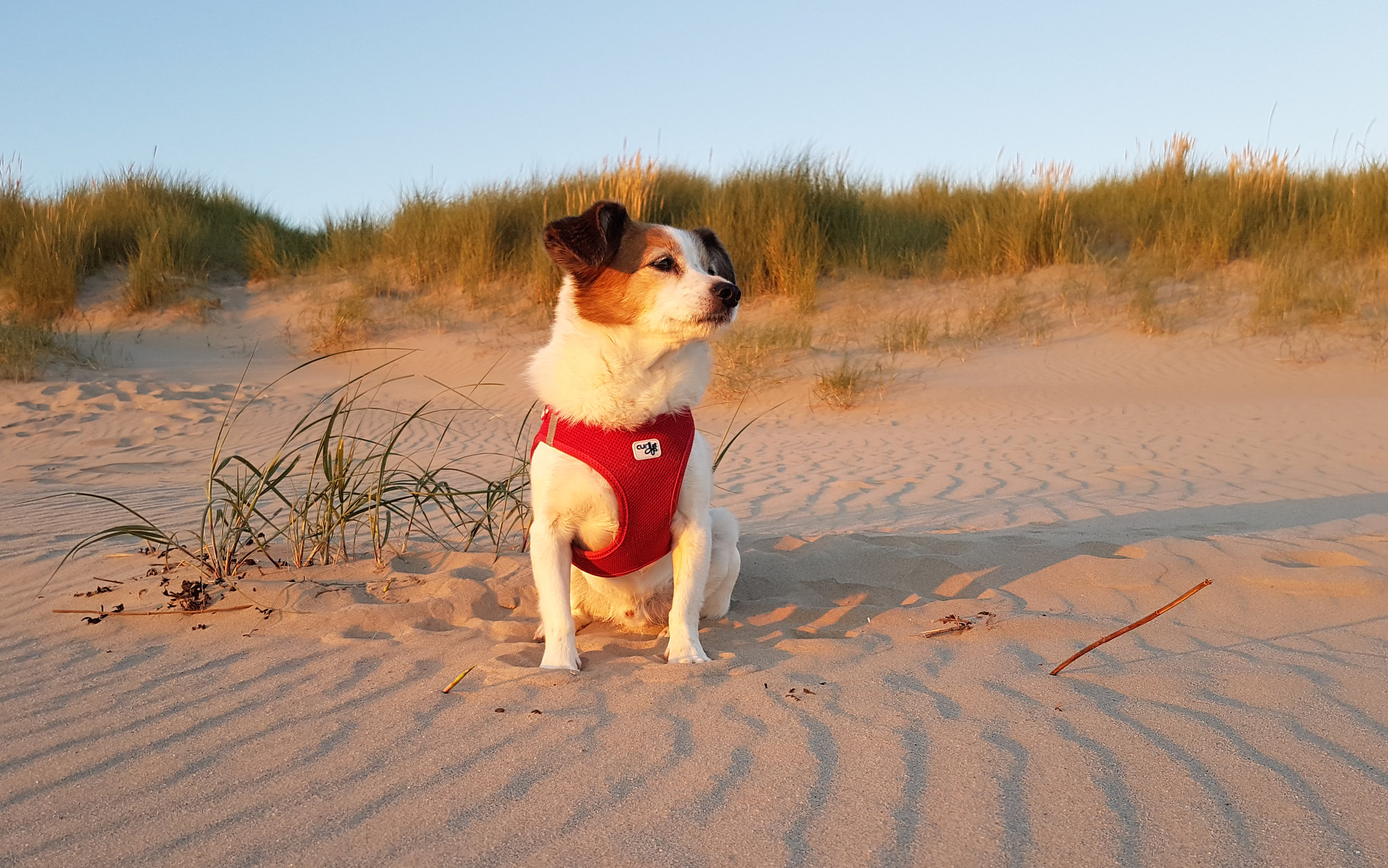 Netherlands - Hargen aan Zee