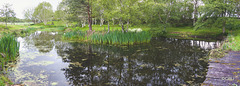 Pond weed-clearing in operation