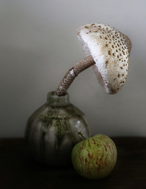 parasol mushroom and apple