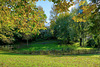 HFF- A fence in Autumn