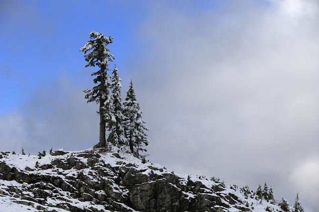 Park Butte Trail