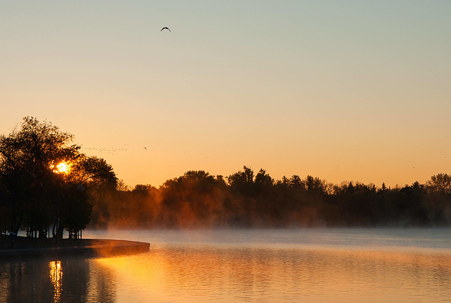 birds over Wascna Park