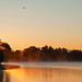 birds over Wascna Park