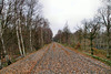 Trasse der ehem. Zechenbahn Auguste Victoria (Marl-Hamm) / 12.12.2018