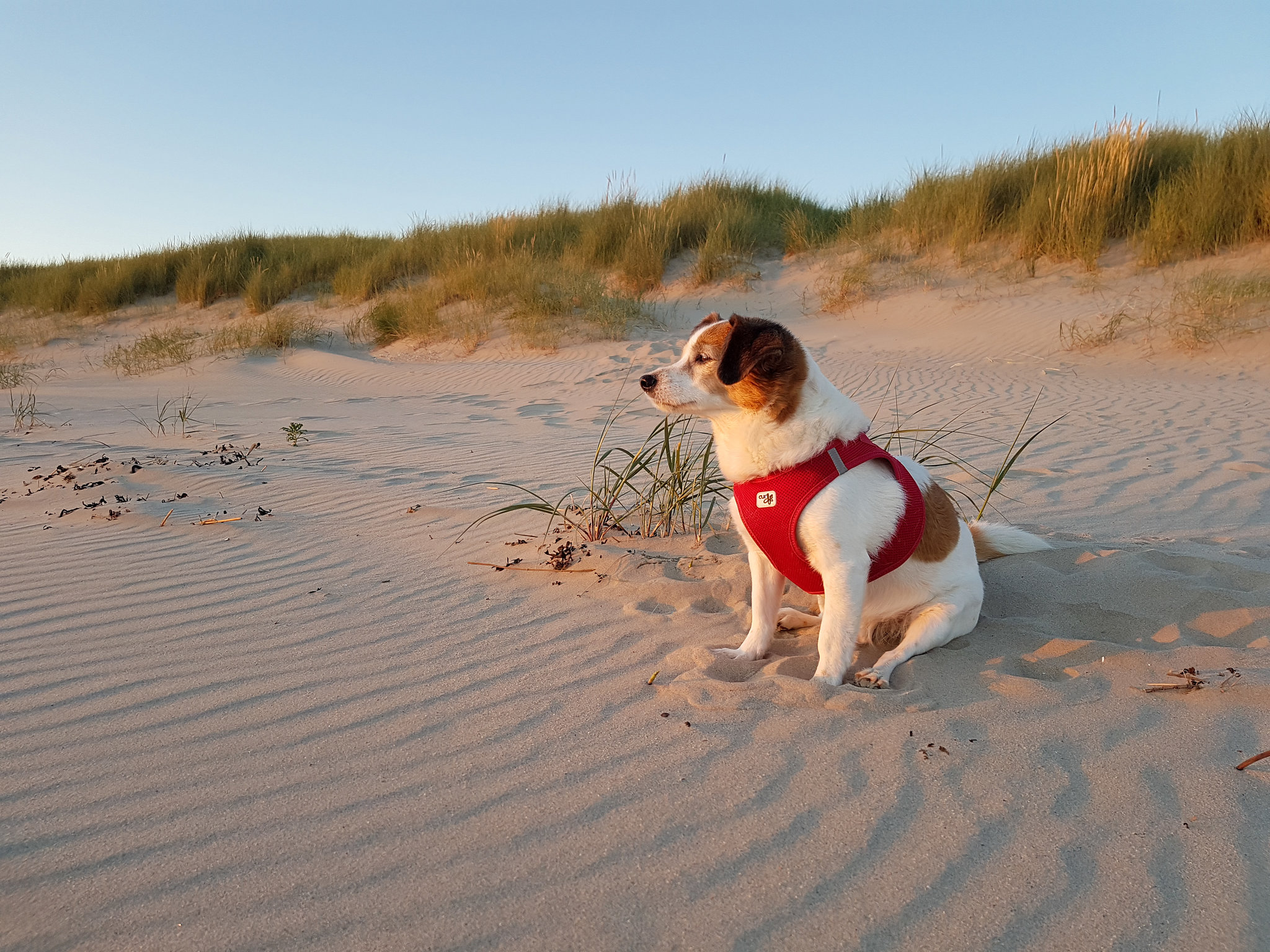 Netherlands - Hargen aan Zee