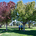 Shari and Marilyn at the memorial trees
