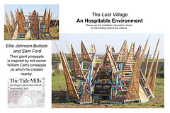 The Lost Village Hospitable Environment Sam Ford & Ellie Johnson-Bullock Pineapple artwork