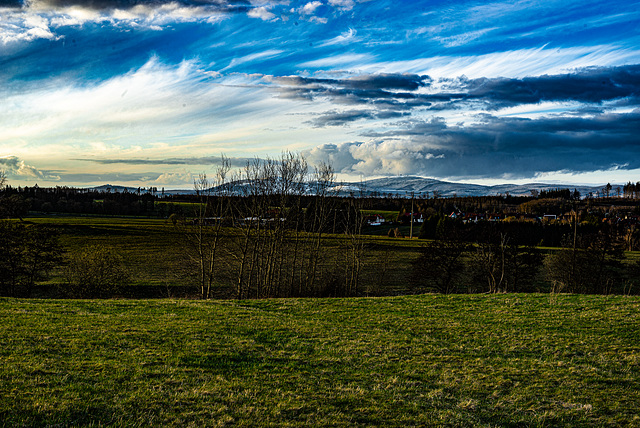 20240325_benneckenstein_feld