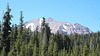 Shasta