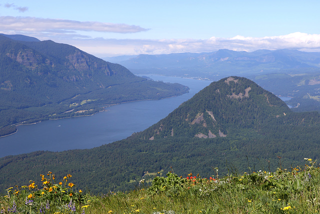 Columbia Gorge from Dog Mountain