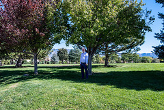 I was in front of Linda 's memorial tree