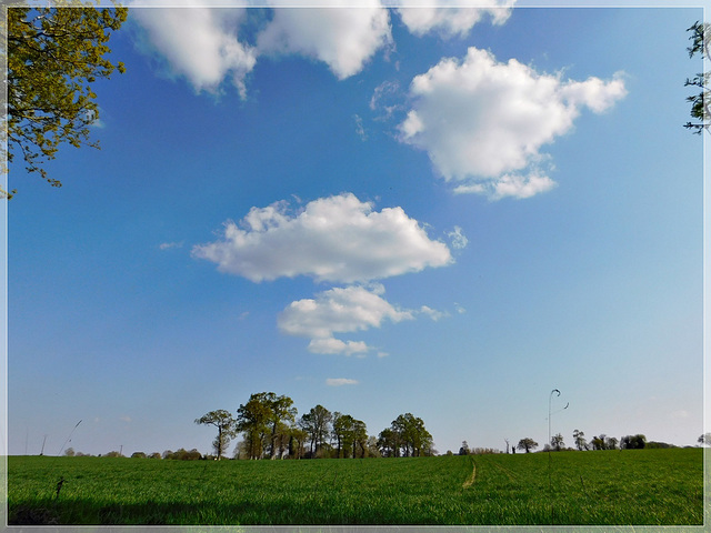 Ciel et nuages dans la campagne