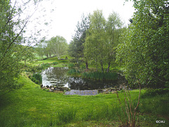 Pond weed-clearing in operation