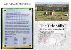 The Tide Mills Allotments history board