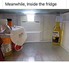 cvd (meme) - fridge