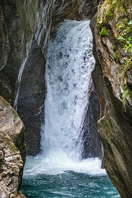 Sigmund Thun Klamm (7)