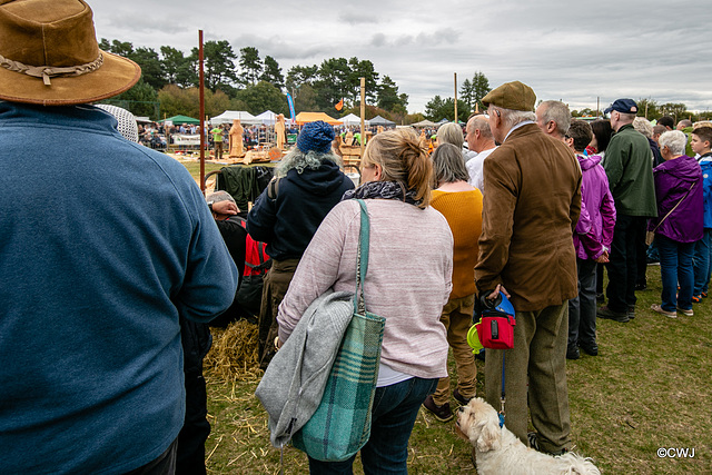 The Carrbridge World Chainsaw Carving Championship 2018