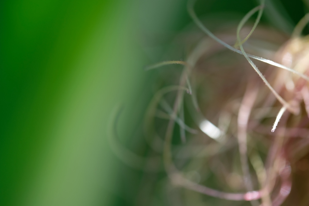 DSCF2382