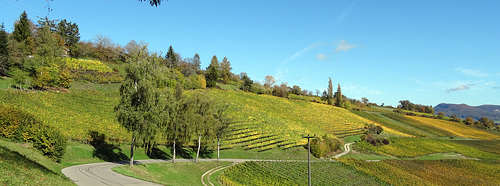 Wunderklingerstrasse