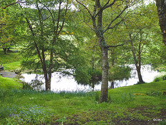 Pond weed-clearing in operation