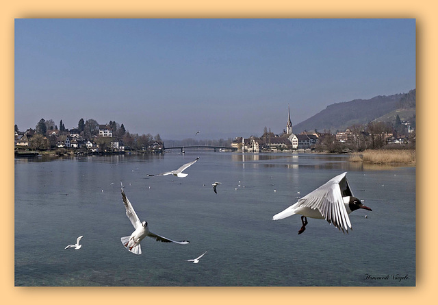 Stein am Rhein